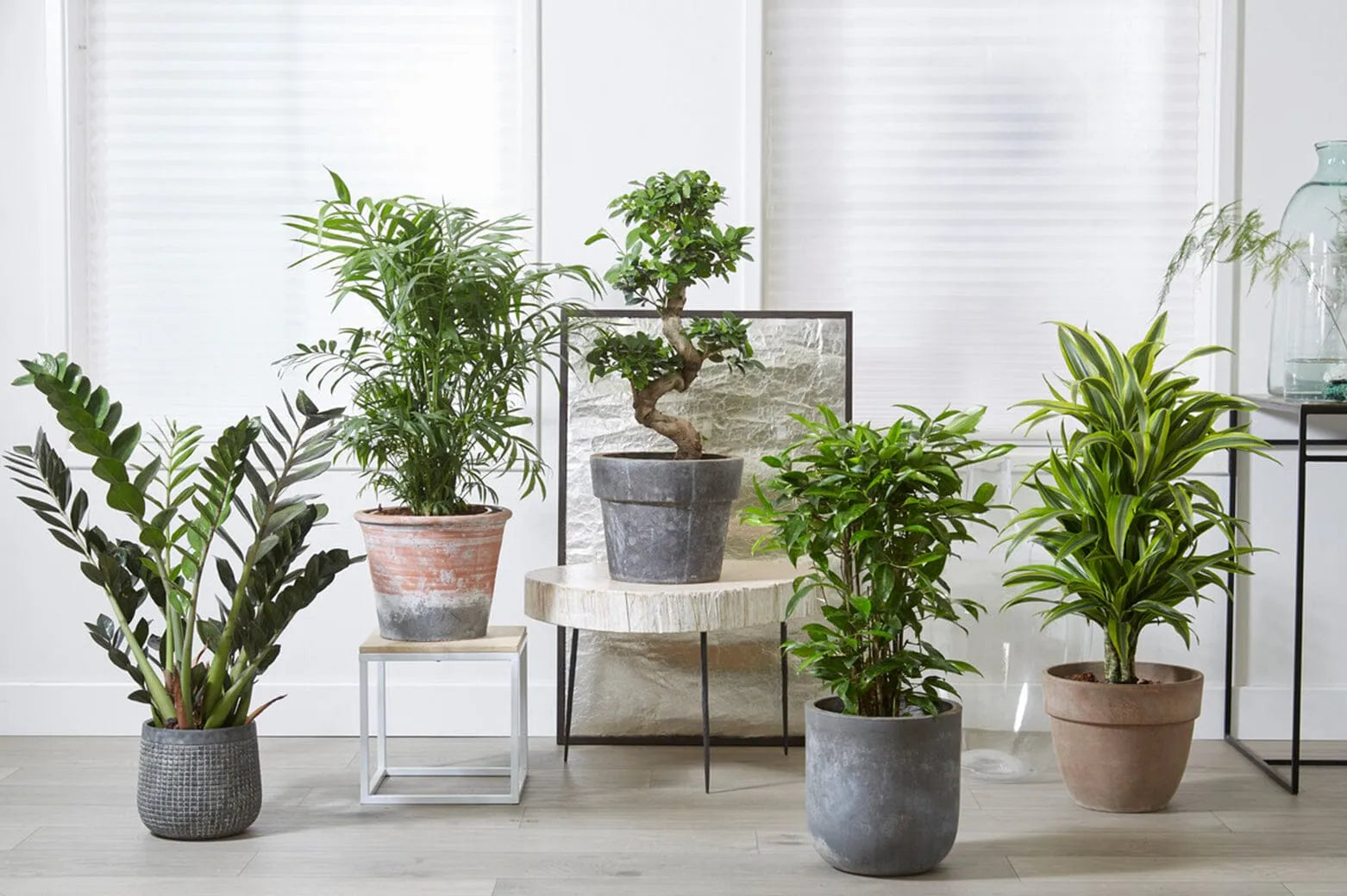 planter shelves indoor Plant Stand Indoor With Grow Lights, 8 Tiered Indoor Plant Shelf, 61" Tall Plant Stand For Indoor Plants Multiple, Metal Plant Flower Holder Stand, S