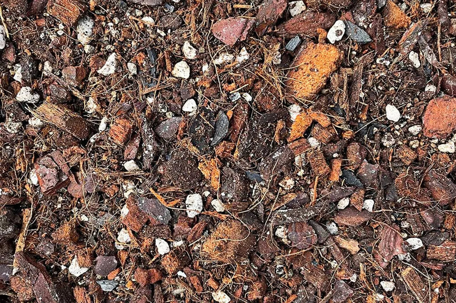 The best soil mix for Philodendrons  Plants For All Seasons