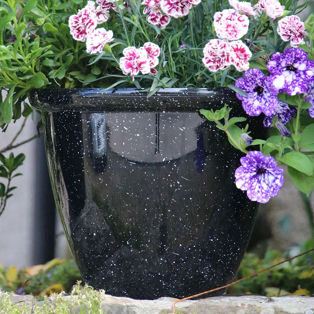 black gloss plant pots 25cm Honey Pot Black Gloss Plant Pot – Plants For All Seasons