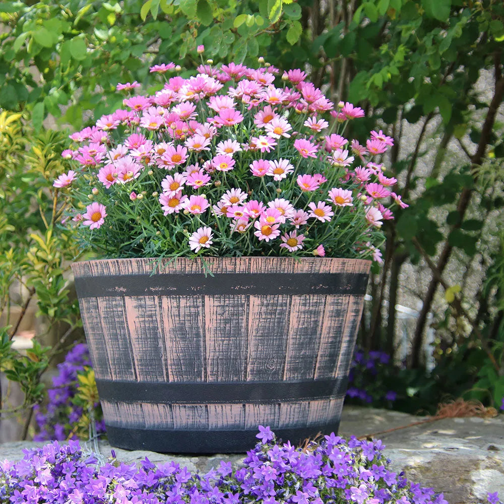tan plant pot 40cm Finisterre Barrel in Tan Plant Pot – Plants For All Seasons