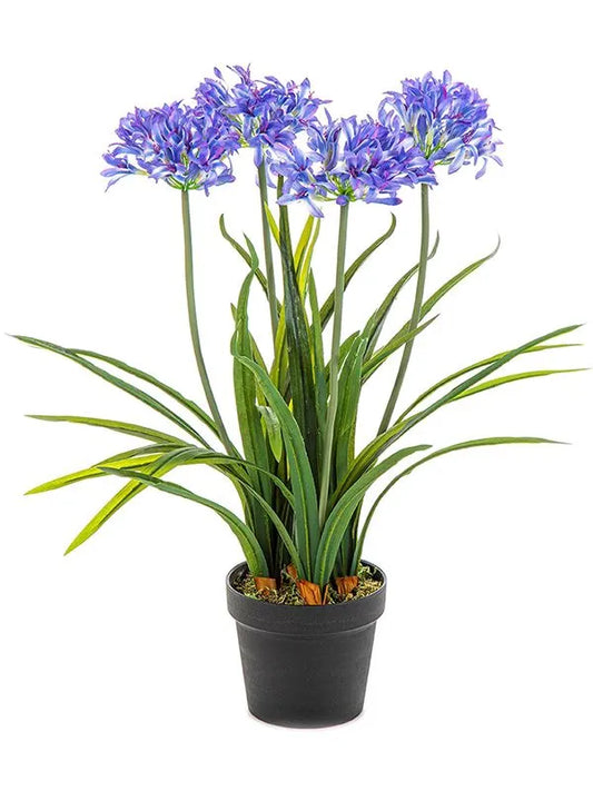Agapanthus Artificial Plant Premium Faux 66cm Height