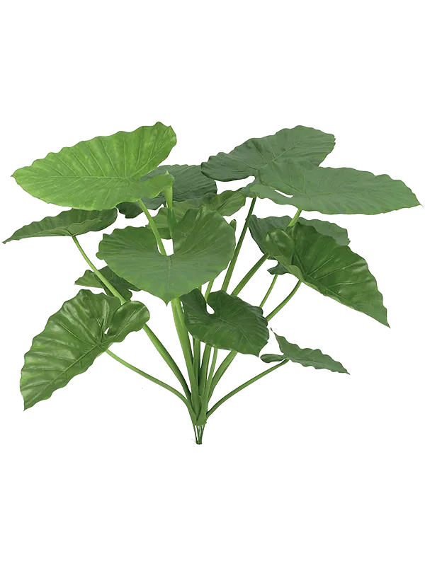 Alocasia Calidora Artificial Plant Premium Faux 84cm Height
