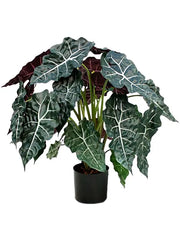 Alocasia Polly Artificial Plant Premium Faux 75cm Height