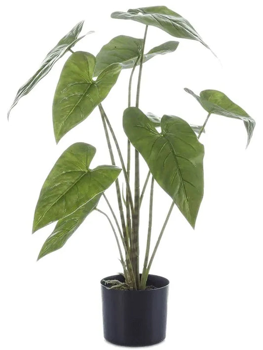 Alocasia Zebrina Artificial Plant Premium Faux 75cm Height
