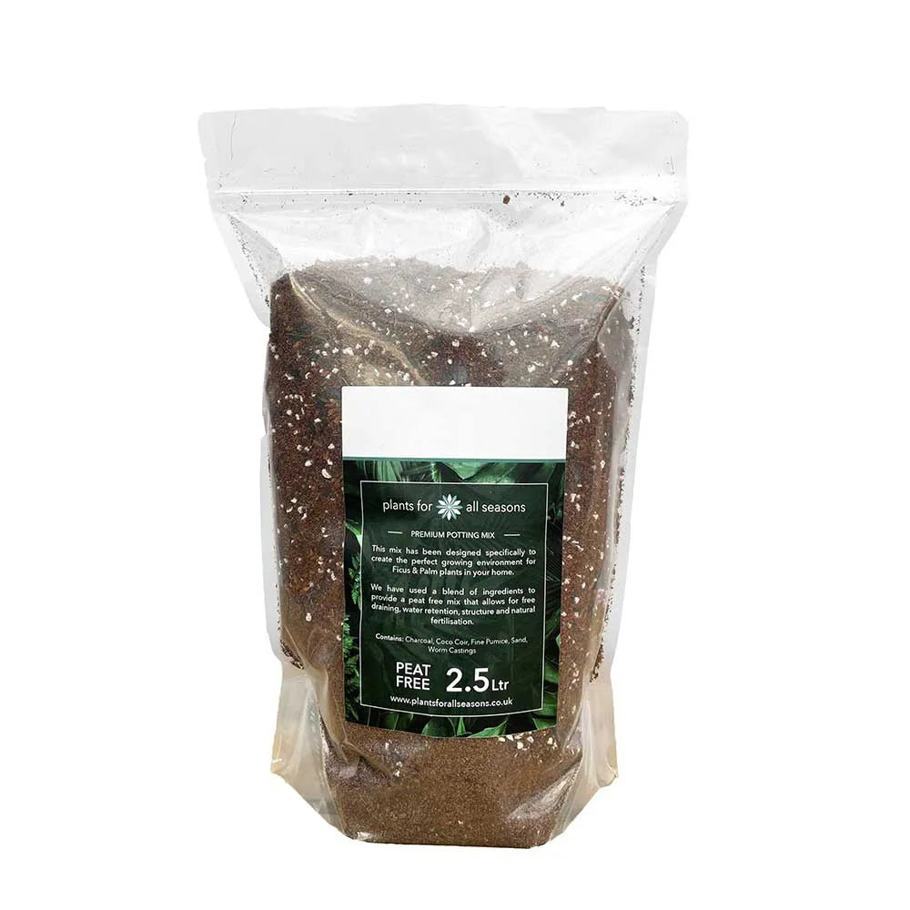 Alocasia & Dieffenbachia Potting Mix 2.5ltr