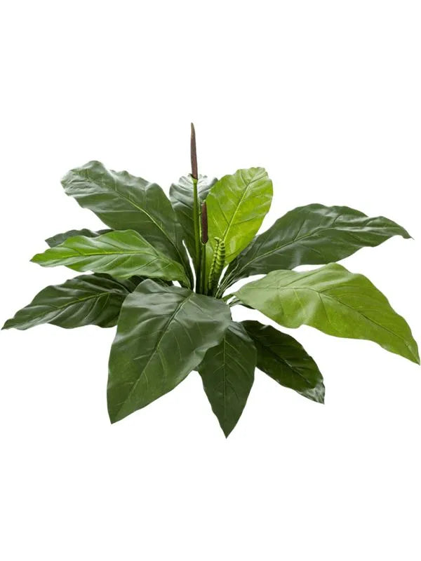 Anthurium Jungle King Artificial Plant Premium Faux 84cm Height – Plants  For All Seasons