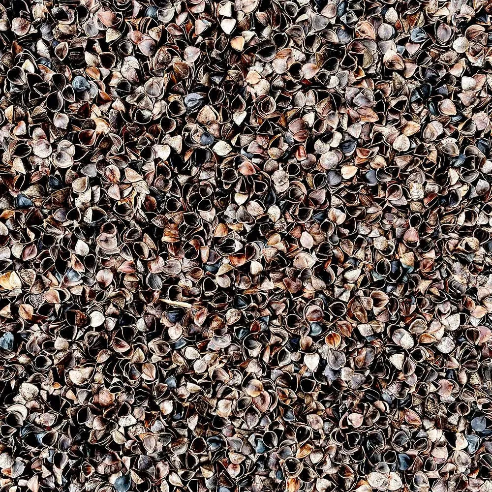 Buckwheat Hulls 2.5ltr