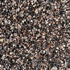 Buckwheat Hulls 2.5ltr