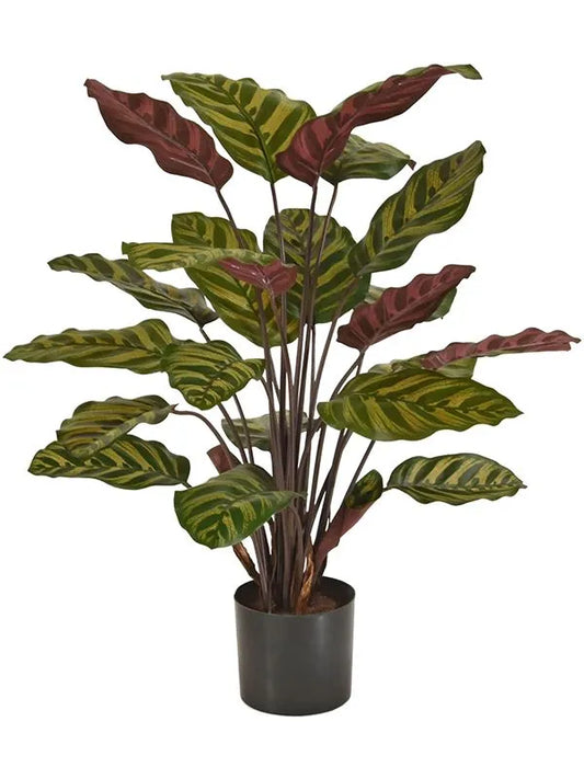 Calathea Makoyana Artificial Plant Premium Faux 60cm Height