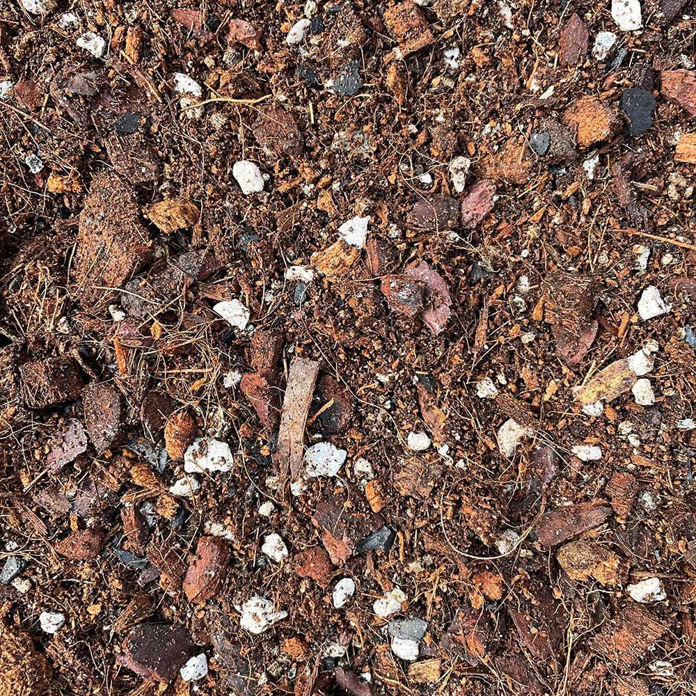 Calathea & Maranta Potting Mix 2.5ltr