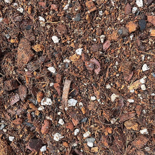 Calathea & Maranta Potting Mix 2.5ltr