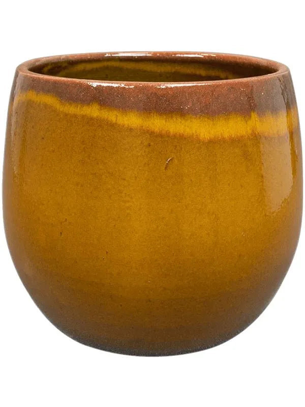ochre plant pot Charlotte Plant Pot 20cm Height 18cm Dia Pot Ochre – Plants For All Seasons