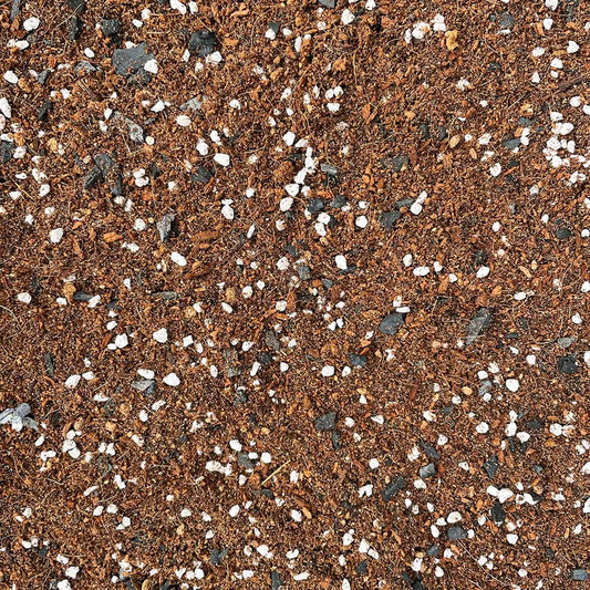 Ficus & Palm Potting Mix 2.5ltr