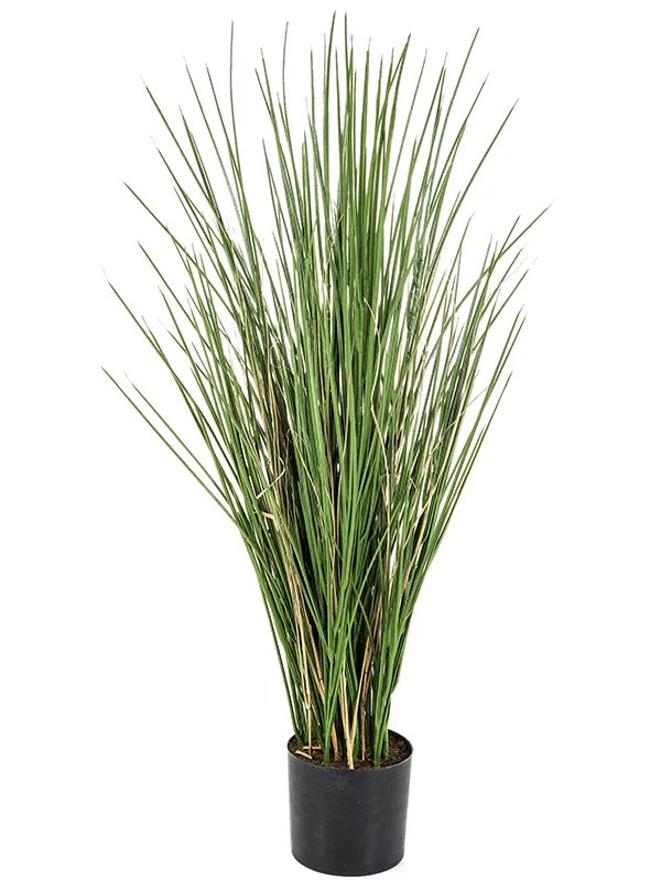 Honey Grass Artificial Plant Premium Faux 80cm Height