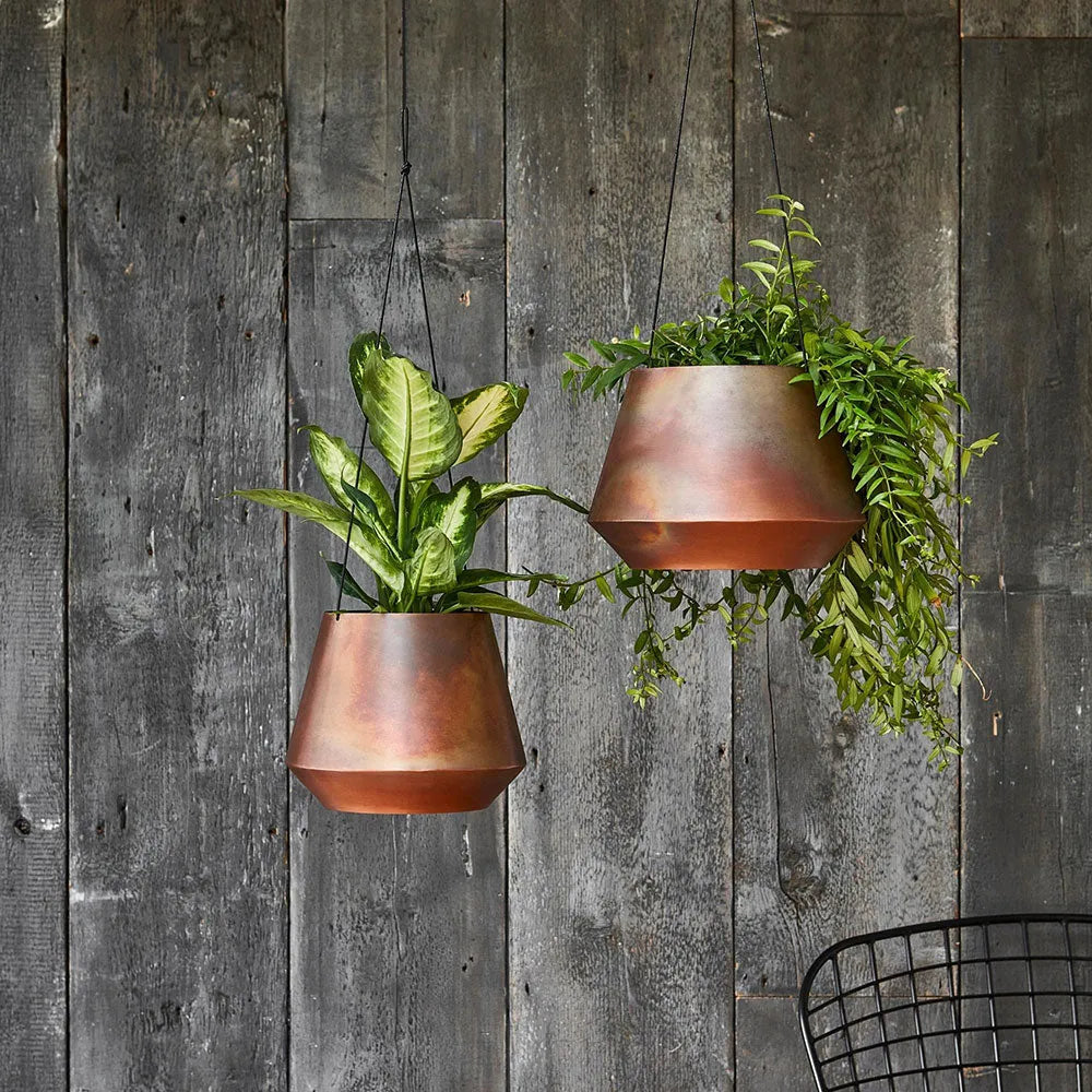 leather strap hanging planter Indoor Soho Aged Copper Hanging Planter with Leather Strap 15cm Height – Plants For All Seasons