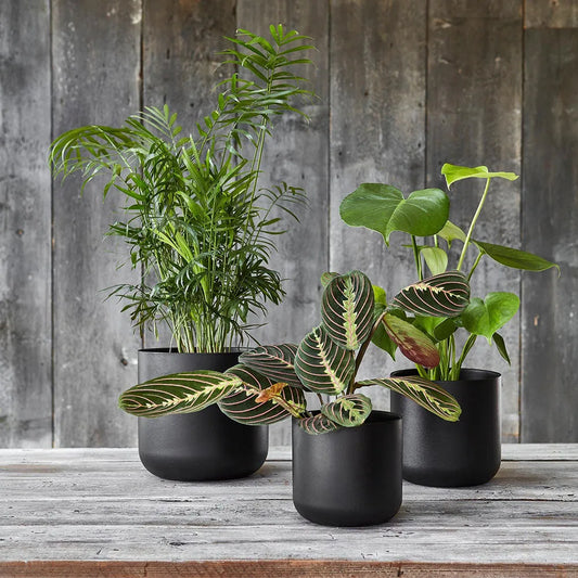 Lisbon Planter Anthracite 26cm Height 26cm Dia