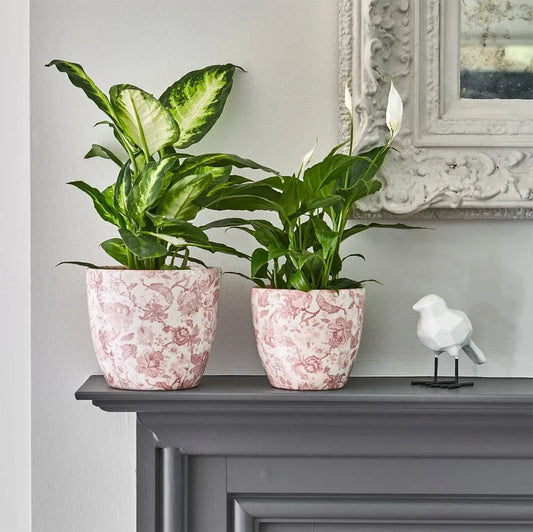 Monza Vintage Rose Indoor Ceramic 17cm Pot