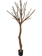 Natural Trunk Artificial Plant Premium Faux 285cm Height