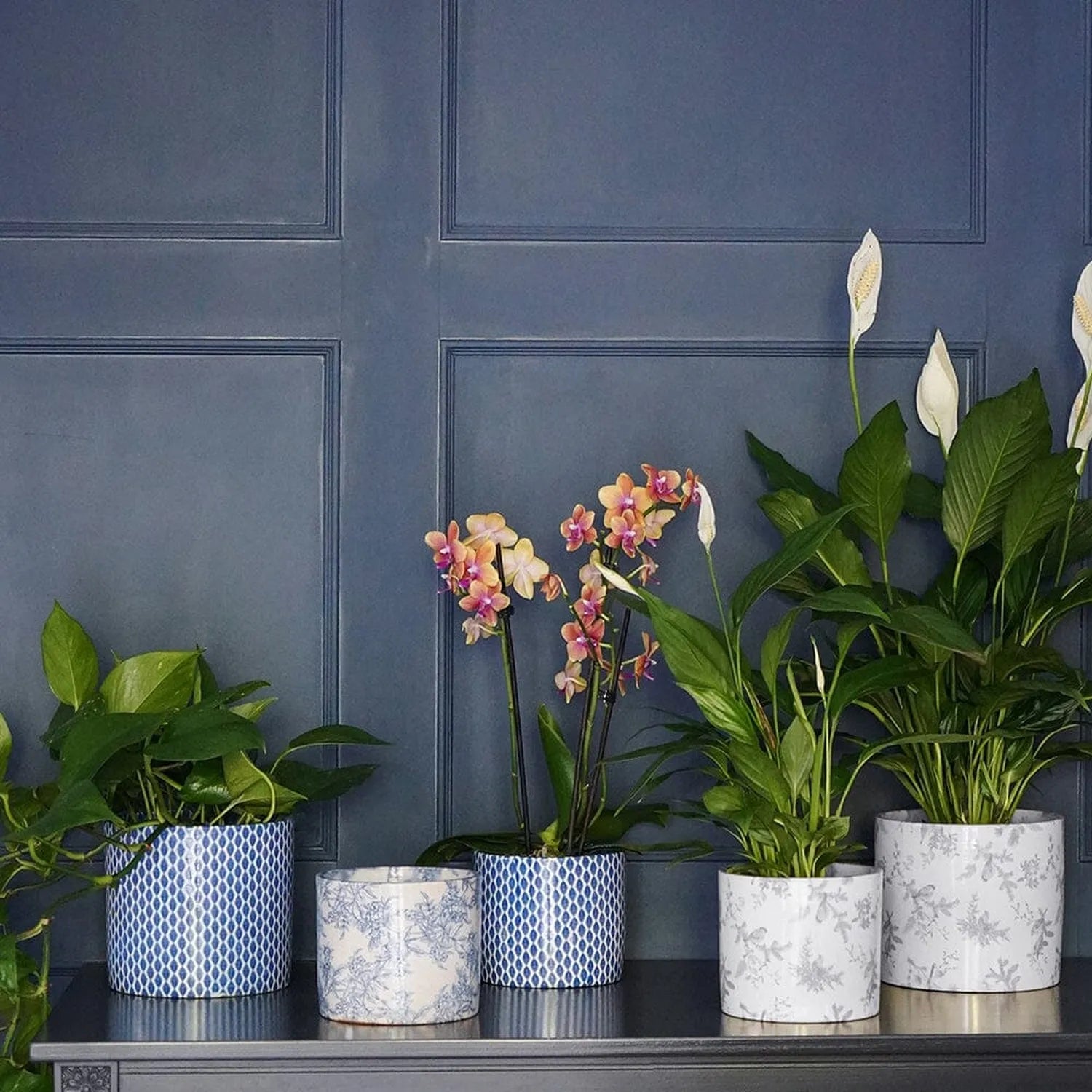 Office Plant Refresh Subscription