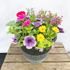 Patio Planter Subscription