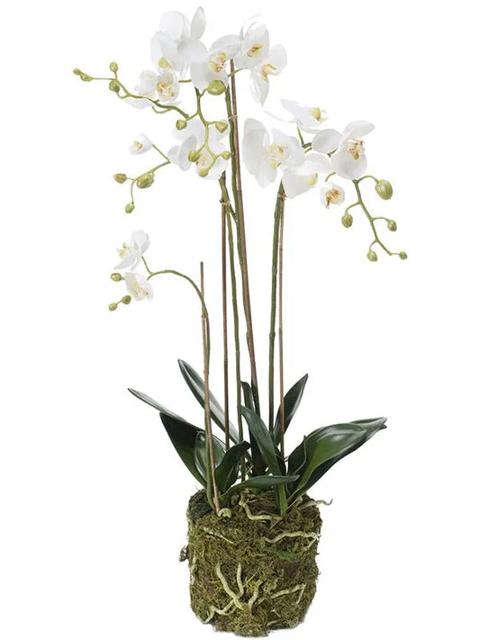 Phalaenopsis Artificial Plant Premium Faux 80cm Height