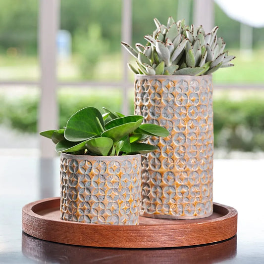 Terni Mustard Indoor Ceramic 14cm Pot