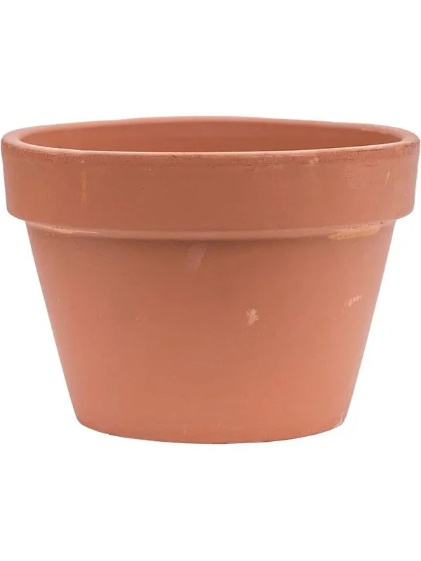 plant pot 15cm Terra Cotta Plant Pot 15cm Height 20cm Dia Flowerpot – Plants For All  Seasons