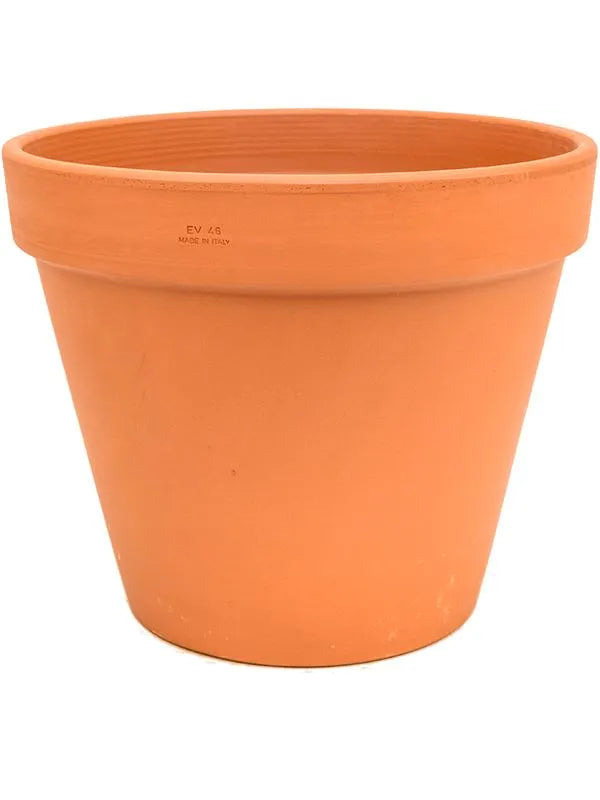 40cm indoor plant pot Terra Cotta Plant Pot 40cm Height 44cm Dia Flowerpot – Plants For All  Seasons