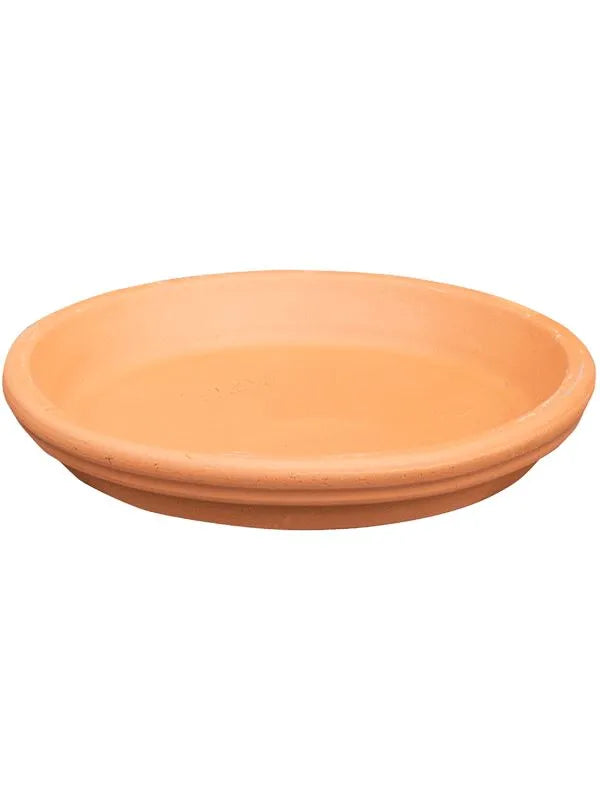 Terra Cotta Plant Pot 5cm Dia Saucer
