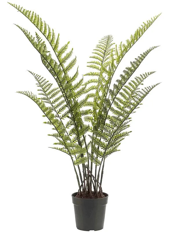 Woodwardia Fern Artificial Plant Premium Faux 90cm Height
