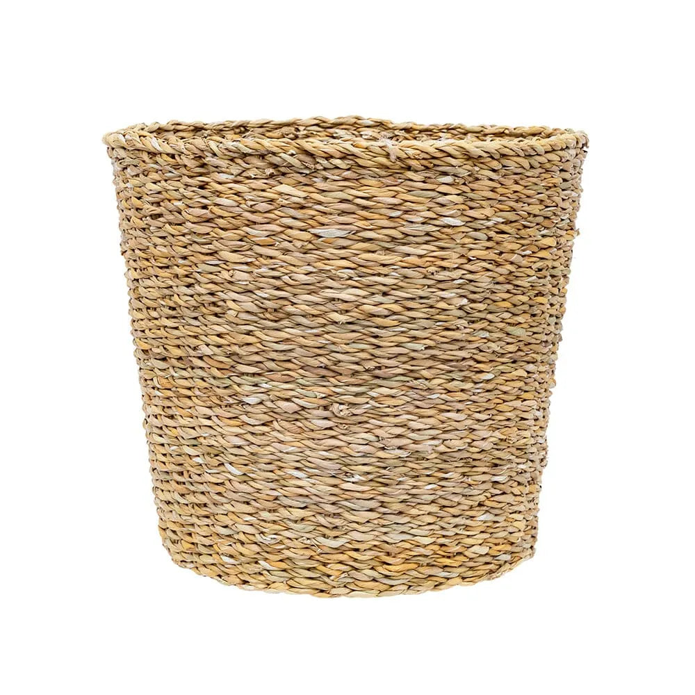Woven Plain Office Plant with Pot