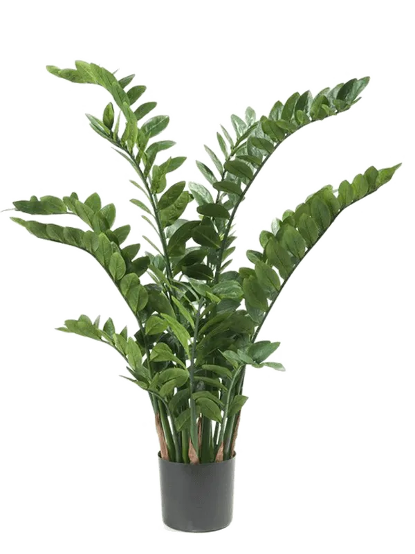 zz plant height Zamioculcas Artificial ZZ Plant Premium Faux 130cm Height – Plants For All Seasons