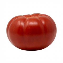 Tomato Supersteak Variety, Ready to Plant in Your Garden