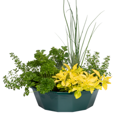 Herb Alfresco Mixed SpeedPlanter – 7 Fresh Culinary Herbs, Garden Ready