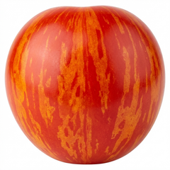 Set of 3 or 6 Large Plants - Tomato Ricola Fire & Lightning, Ready to Plant in Your Garden