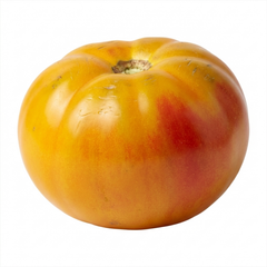 Set of 3 or 6 Large Plants - Tomato Buffalosun Variety, Ready to Plant in Your Garden