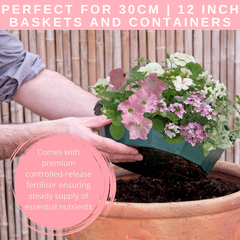 7 Colour Coordinated Plants - Bridal Bouquet Theme Speedplanter, Garden Ready