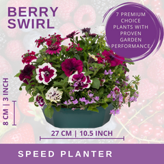 7 Colour Coordinated Plants - Berry Swirl Theme Speedplanter, Garden Ready
