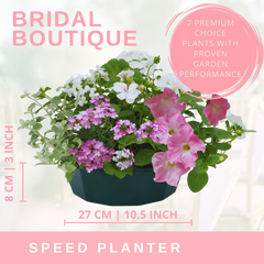 7 Colour Coordinated Plants - Bridal Bouquet Theme Speedplanter, Garden Ready