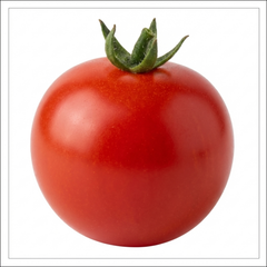 Set of 3 or 6 Large Plants - Tomato Veranda Red Variety, Ready to Plant in Your Garden