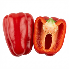Sweet Pepper Plants - Thor Variety, Ready to Plant in Your Garden