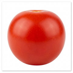 Set of 3 or 6 Large Plants - Tomato Gardeners Delight Variety, Ready to Plant in Your Garden