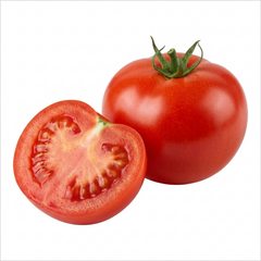 Patio Tomato Jo & Grace Plants, Live Tomato Seedlings, Outdoor Garden Ready, 1L Root Ball