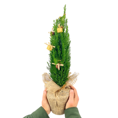 Christmas tree in Jute Sack with baubles