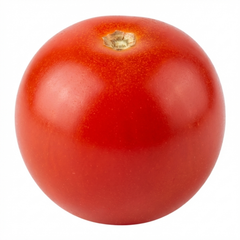 Tomato Sweet Million Variety, Ready to Plant in Your Garden