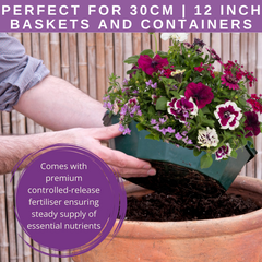 7 Colour Coordinated Plants - Berry Swirl Theme Speedplanter, Garden Ready