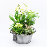 Orchid Phalaenopsis White Galvanised Arrangement 23cm House Plant Accessories