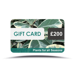Plants for all Seasons Gift Card Gift Cards