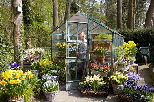 Beginners guide to gardening