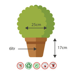 25cm Chengdu Planter Black/Copper Plant Pot